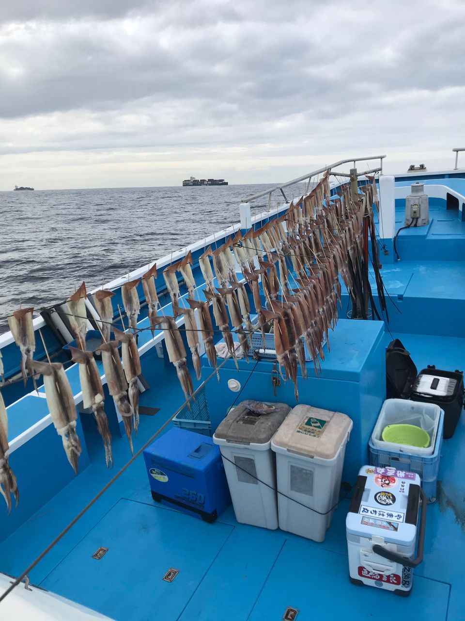 大沼誠司さんの釣果 2枚目の画像