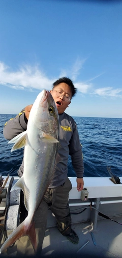 カンパチの釣果