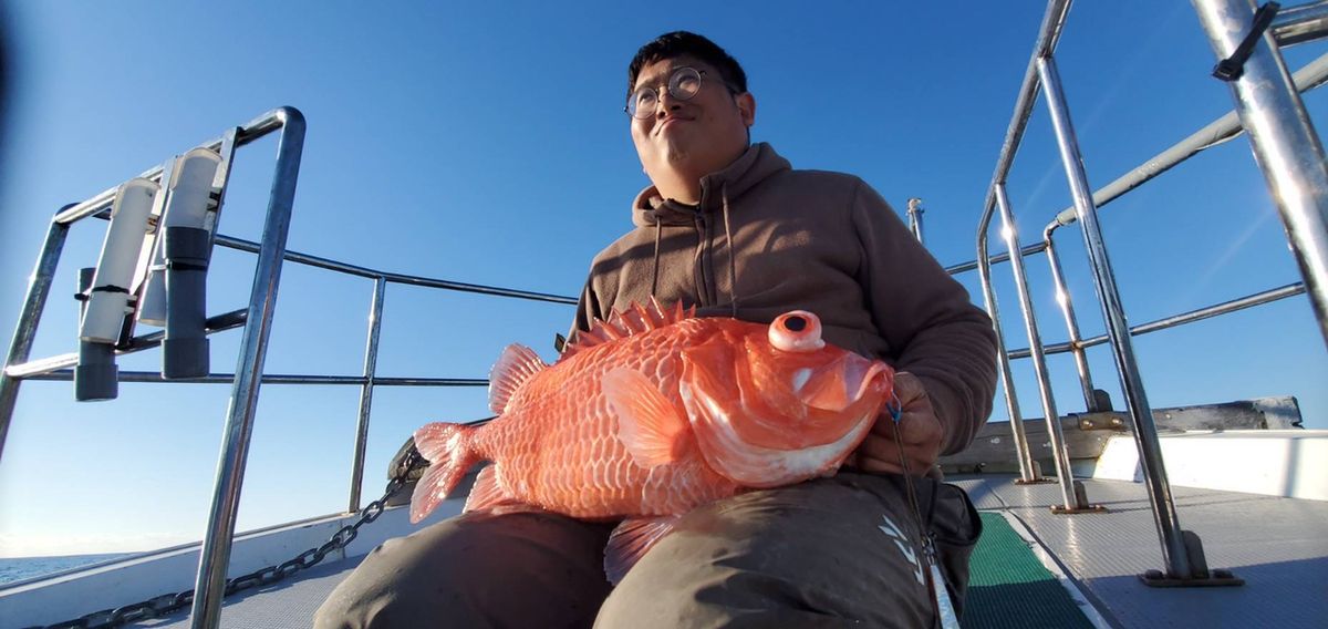 とうふメンタルさんの釣果 3枚目の画像