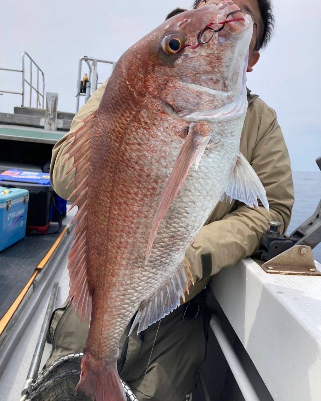 とうふメンタルさんの釣果 3枚目の画像