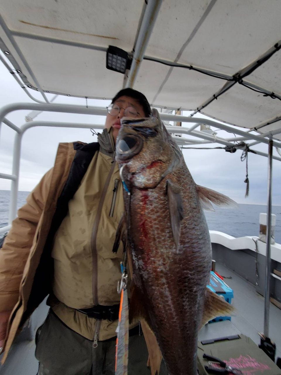 とうふメンタルさんの釣果 3枚目の画像