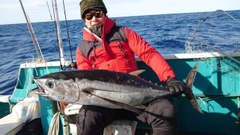 ビンチョウマグロの釣果