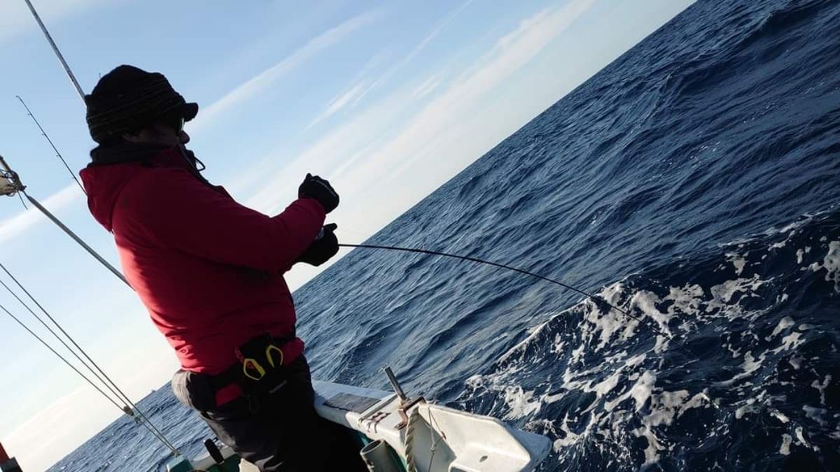 ごえもん☺さんの釣果 2枚目の画像