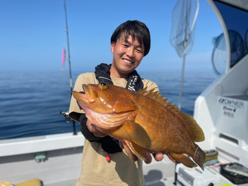 キジハタの釣果