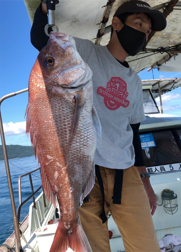 マダイの釣果