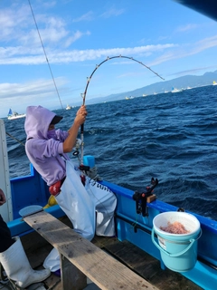 キハダマグロの釣果