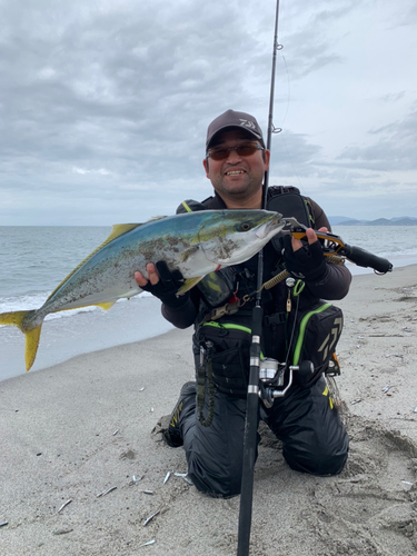 イナダの釣果