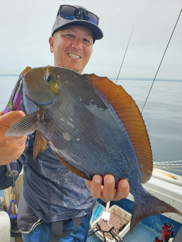 ニザダイの釣果