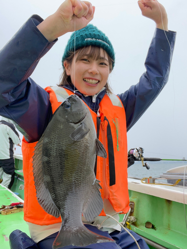 メジナの釣果