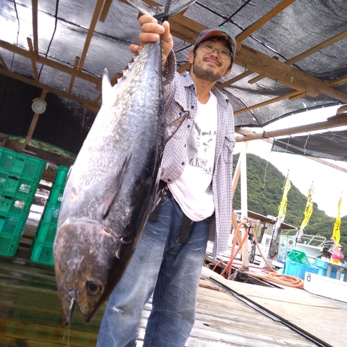 クロマグロの釣果