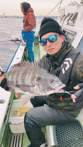 クロダイの釣果