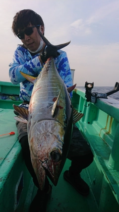 キハダマグロの釣果