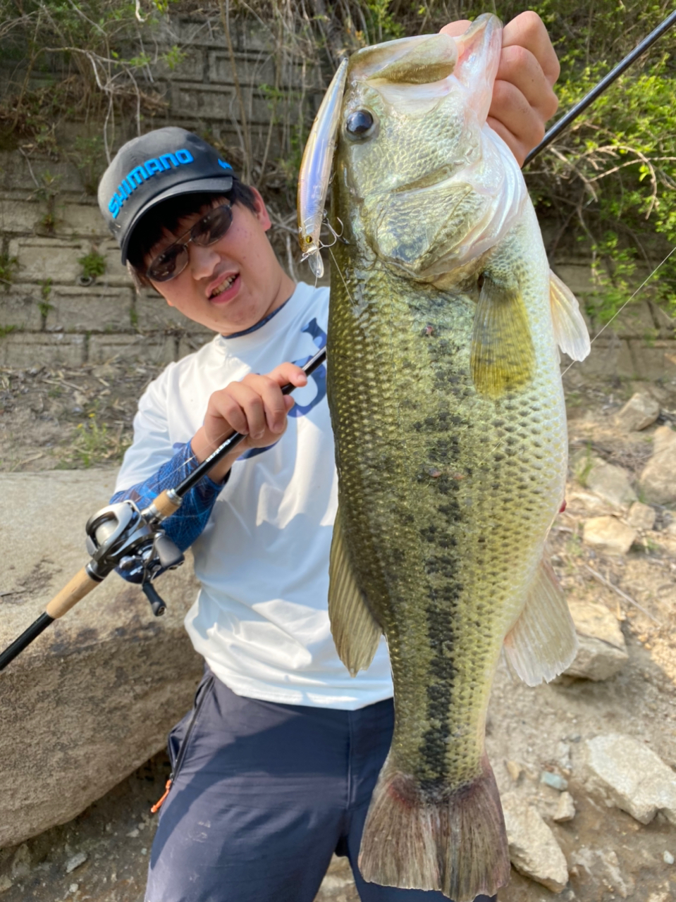 SHIMANO 18バンタム 174MH-Gの最安値・インプレ・釣果 | 本音の SHIMANO 18バンタム 174MH-Gの最安値・インプレ・釣果 | 本音の