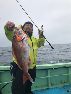 マダイの釣果