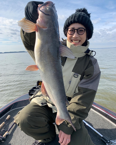 アメリカナマズの釣果