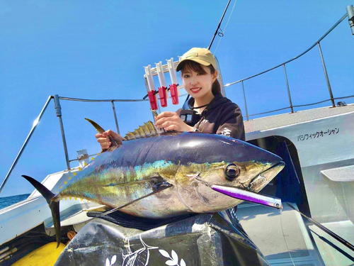 キハダマグロの釣果