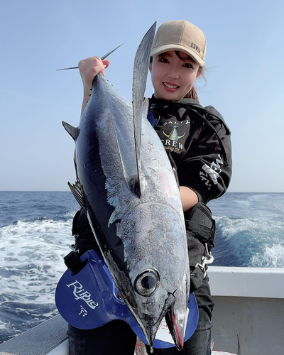 ビンチョウマグロの釣果