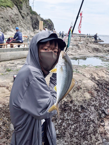 ショゴの釣果