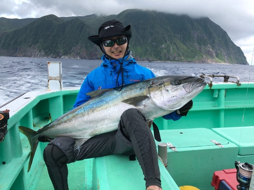 ヒラマサの釣果