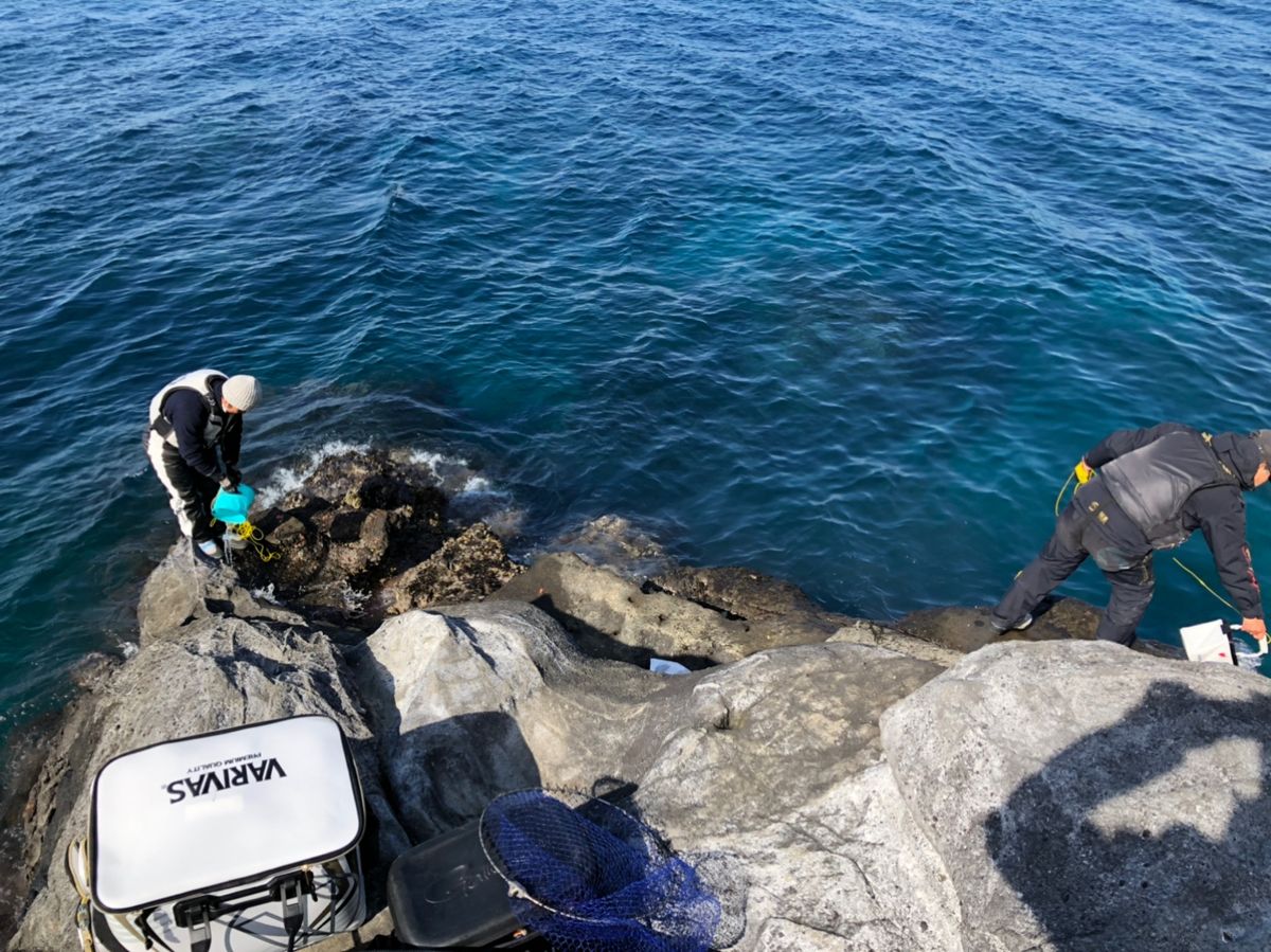 ビーサンさんの釣果 2枚目の画像