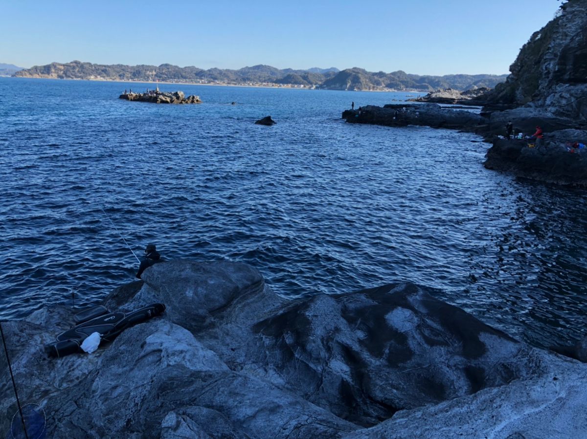 ビーサンさんの釣果 3枚目の画像