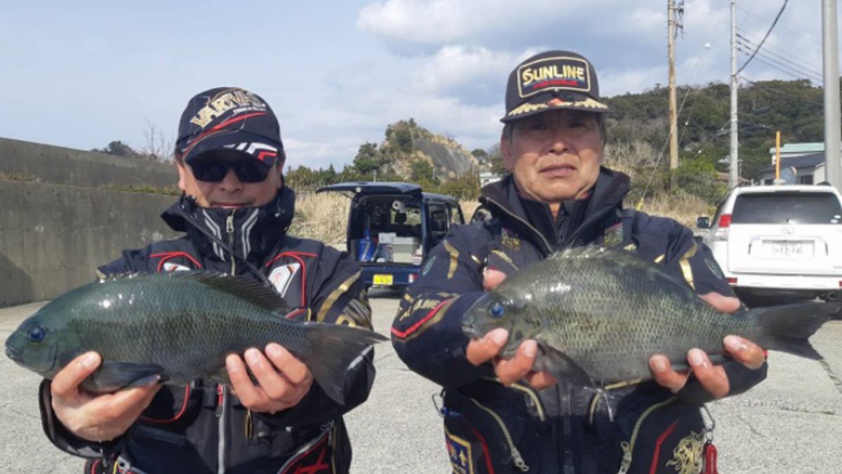 ビーサンさんの釣果 2枚目の画像