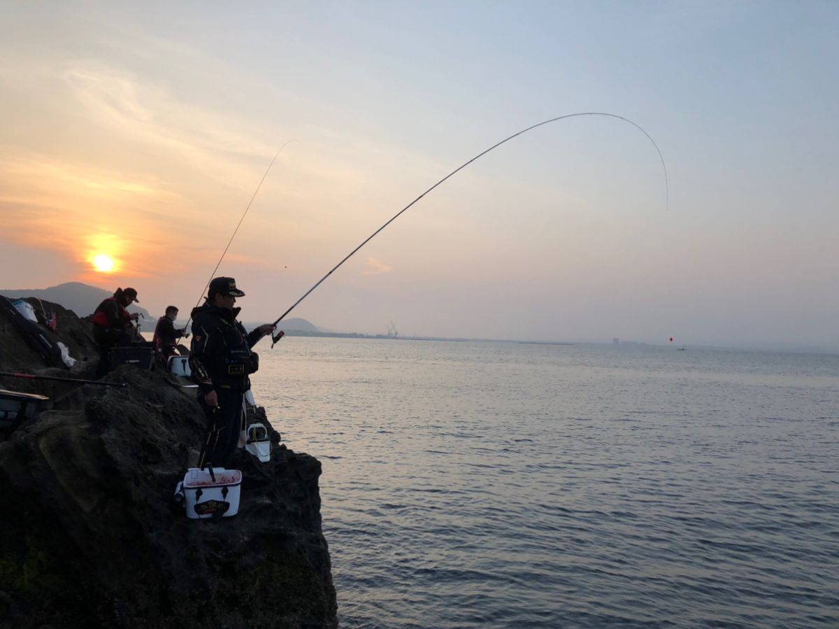 ビーサンさんの釣果 3枚目の画像