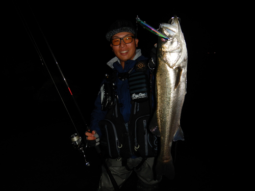 スズキの釣果