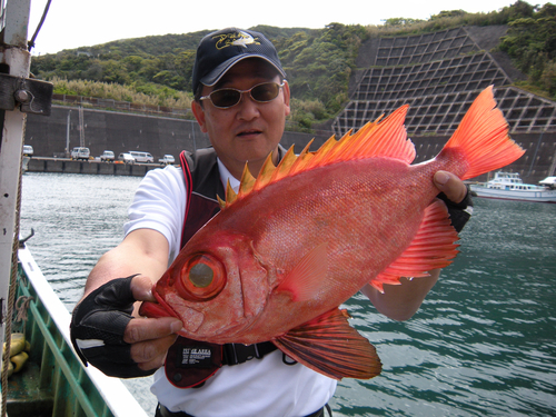 チカメキントキの釣果