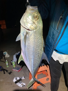 オニヒラアジの釣果