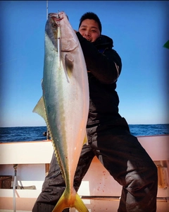 ブリの釣果