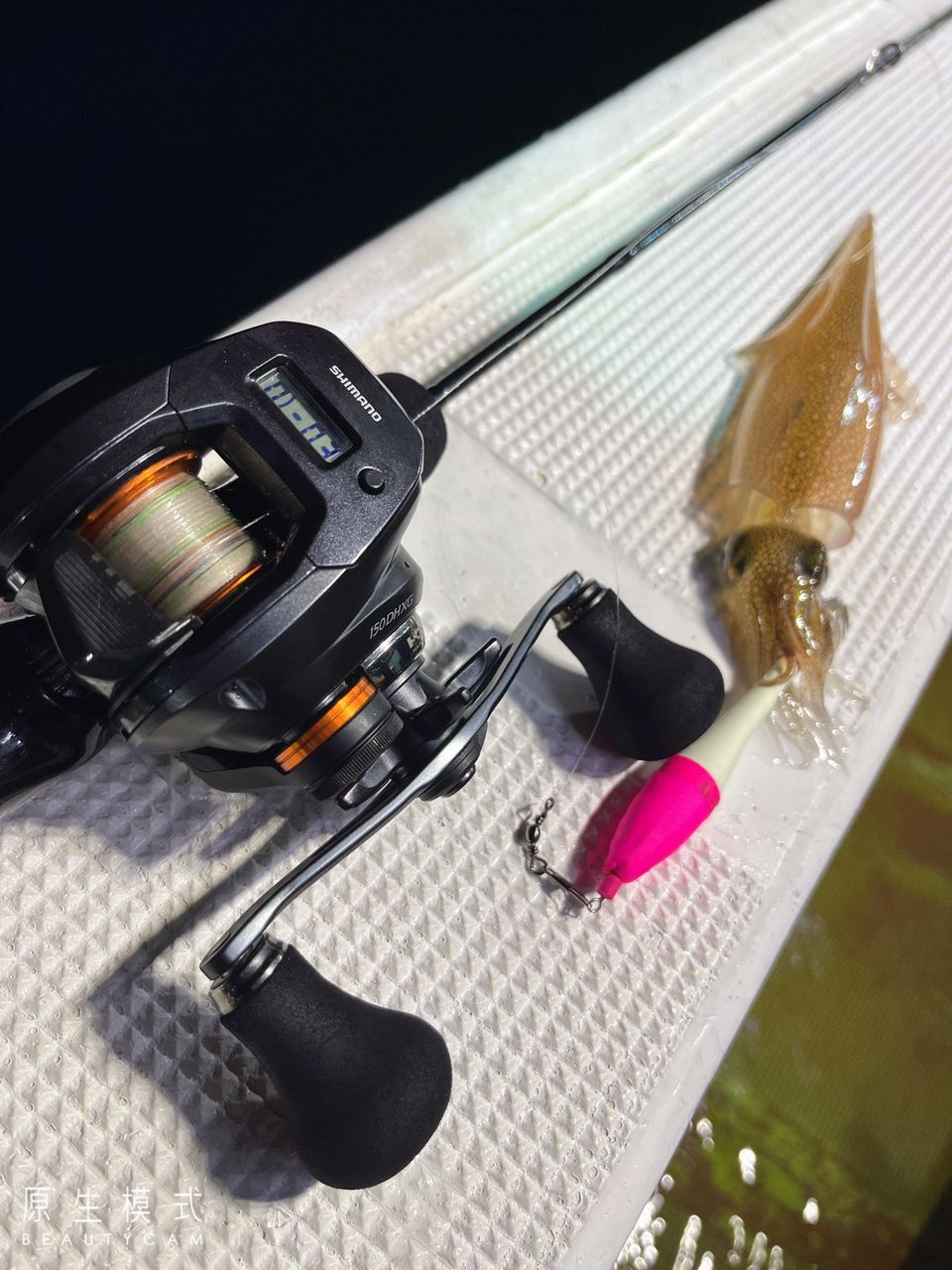 🦑Ｒen。　ニューハーフ釣り師🦑さんの釣果 2枚目の画像