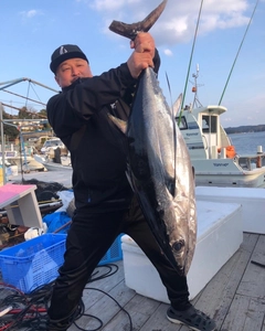 ビンチョウマグロの釣果