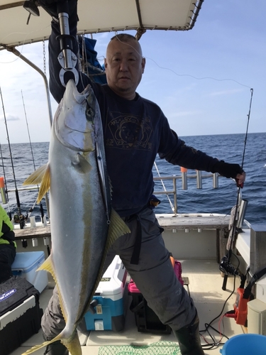 ヒラマサの釣果