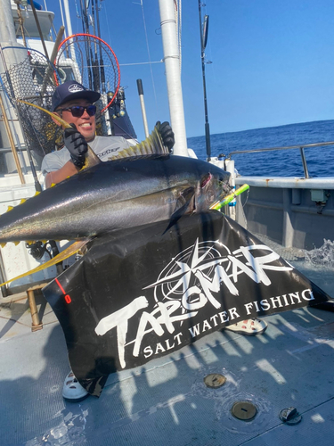 キハダマグロの釣果