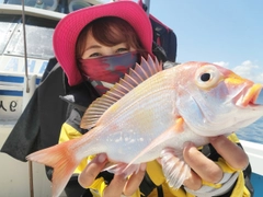 アマダイの釣果