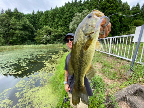 ブラックバスの釣果