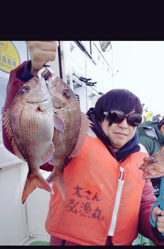 マダイの釣果