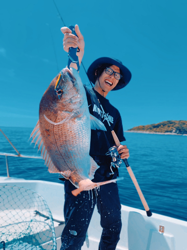 タイの釣果