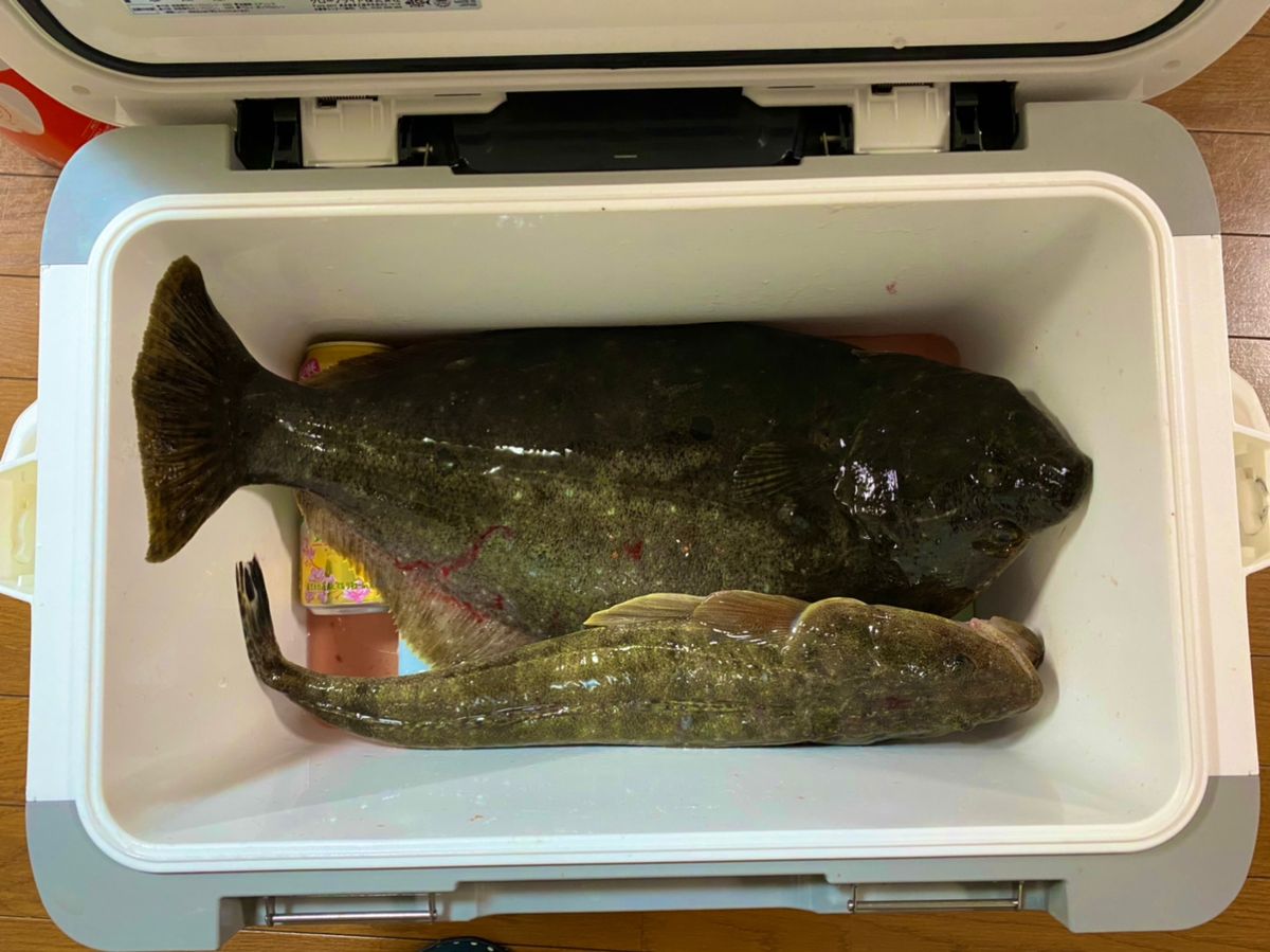 たけまるすいさんさんの釣果 2枚目の画像