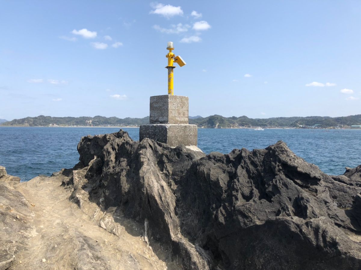 ビーサンさんの釣果 3枚目の画像