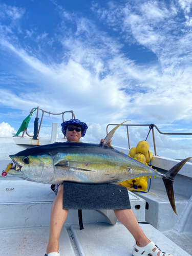 キハダマグロの釣果