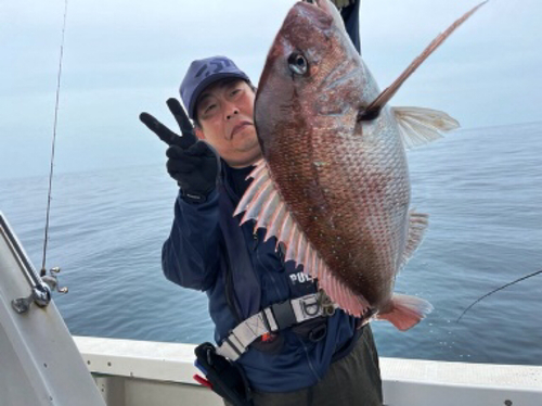 マダイの釣果