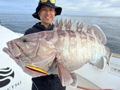 マハタの釣果