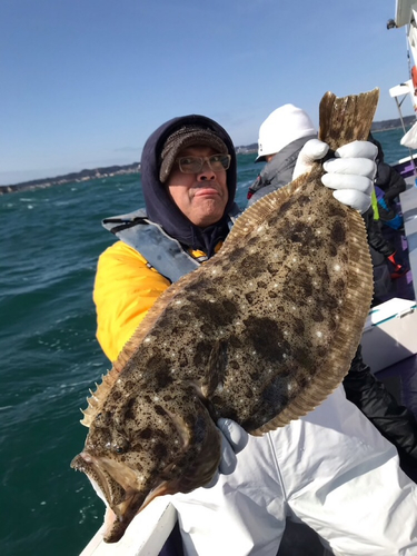 ヒラメの釣果