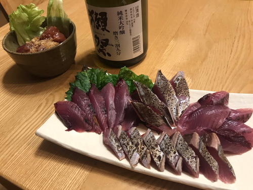 カツオの釣果