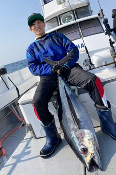 ビンチョウマグロの釣果