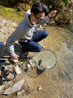 ニジマスの釣果