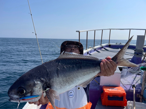 メダイの釣果