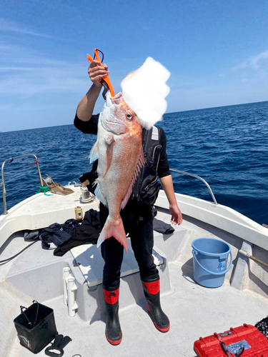 タイの釣果